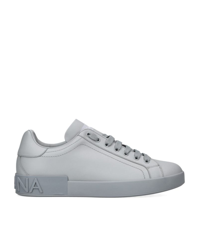 Dolce & Gabbana Portofino Sneakers In Grey