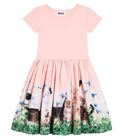 Molo Kids' Cissa Floral Cotton-blend Dress In Multicoloured