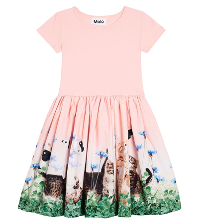 Molo Kids' Graphic-print Stretch-organic Cotton Dress In Artichoke Patch
