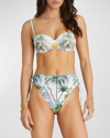 Aqua Blu Australia Palmilla Valeria Bandeau Bikini Top In Palmilla