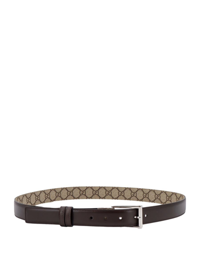 Gucci Belt In Brown