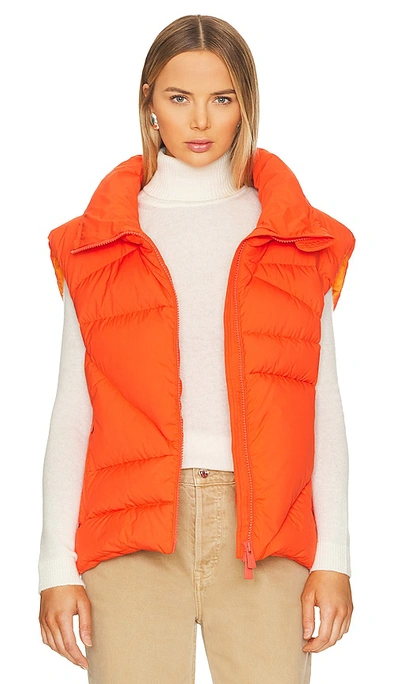 Bacon Double B Gilet In Orange