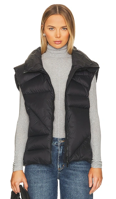 Bacon Quilted Puffer Gilet In Black