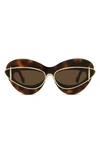 Loewe Double Frame Mixed-media Cat-eye Sunglasses In Dark Havana Brown