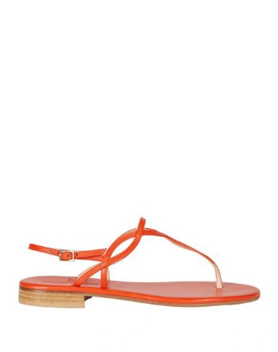Paolo Ferrara Woman Thong Sandal Orange Size 6 Soft Leather