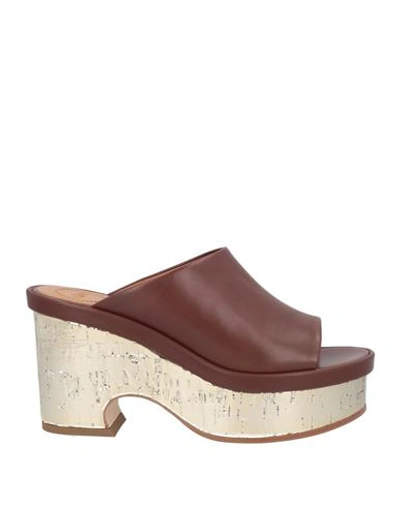 CHLOÉ CHLOÉ WOMAN MULES & CLOGS BROWN SIZE 7 SOFT LEATHER