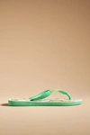 Havaianas X Farm Rio Sandals In White