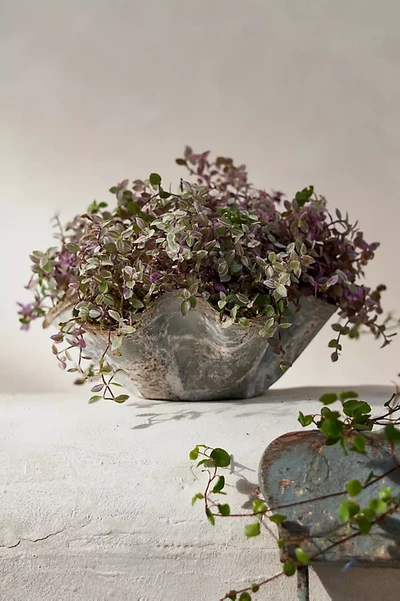 Terrain Iron Handkerchief Planter In Beige