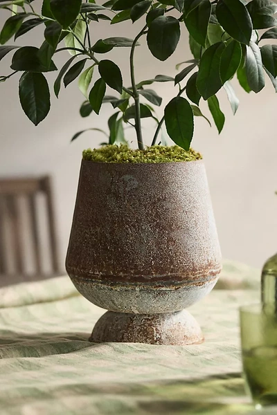 Terrain Iron Tapered Urn Planter In Neutral