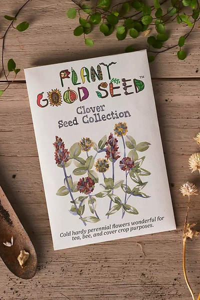 Terrain Plant Good Seed Company Clover Seed Collection In White