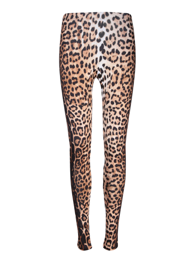 Roberto Cavalli Leopard-print High-waisted Leggings In Brown
