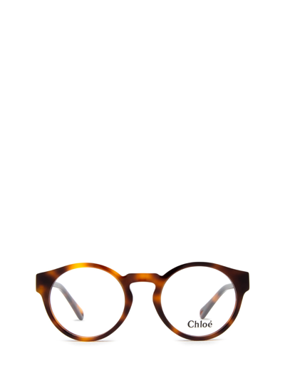 Chloé Ch0159o Havana Glasses