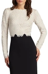Tadashi Shoji Two-tone A-line Lace Crepe Gown In Ivory/ Black