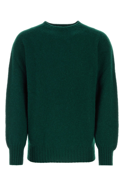 Howlin' Wool Sweater In Green