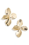 Shashi Hyacinth Drop Earring In Gold