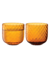 Lsa Dapple Set Of 2 Tumblers In Amber