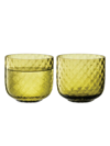 Lsa Dapple 2-piece Tumbler Set In Green