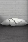 Ella Jayne Home White Cotton Percale Standard Pillow Protector In White