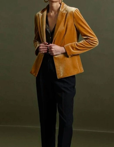 Molly Bracken Velvet Blazer In Saffron Yellow In Multi