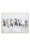 WILLOW ROW HORSE CANVAS FRAMED WALL ART