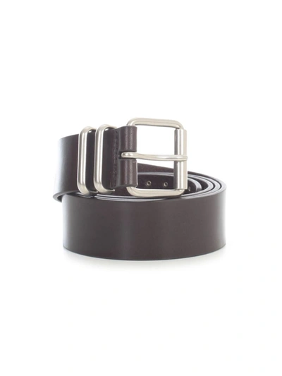 Dries Van Noten Belt202 Belt W/stud Accessories In Brown