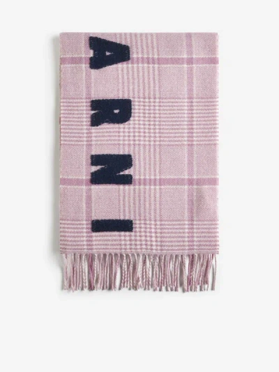 Marni Scarf In Pink Gummy