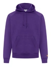 Carhartt Chase Cotton Hoodie In Metallic