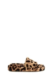 Dolce & Gabbana Leopard Print Flat Slides In Brown