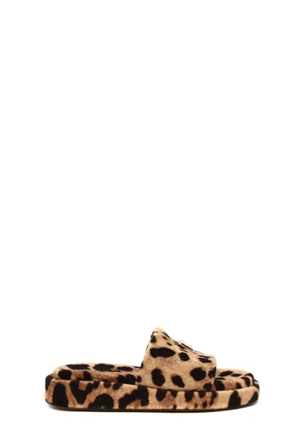 Dolce & Gabbana Bedruckte Pantoletten Aus Frottee In Multicolor
