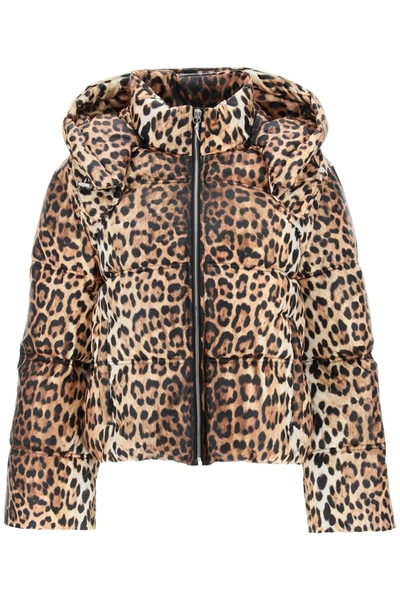 Roberto Cavalli Leopard-print Padded Jacket In Marrone