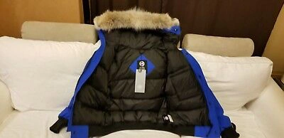 Pre-owned Canada Goose Latest Grey Label Polar Bear  Blue Label Pbi Chilliwack Small Parka In Royal Blue (polar Bear Limited Edition) Pbi