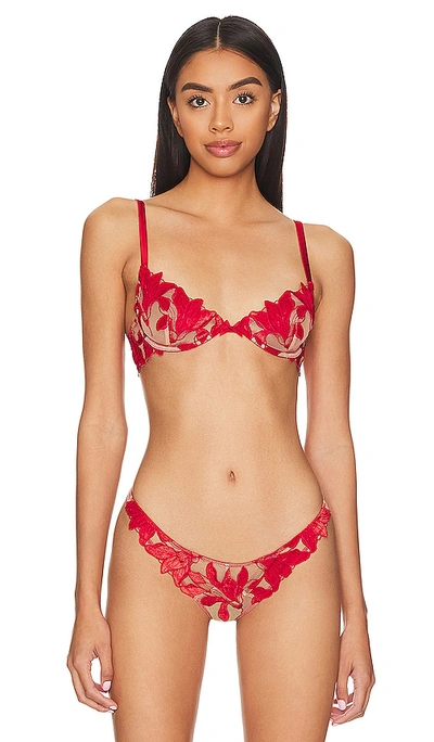 Fleur Du Mal Lily Velvet-trimmed Embroidered Tulle And Stretch-silk Satin Underwired Soft-cup Bra In Rouge Velvet