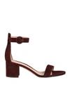Gianvito Rossi Woman Sandals Cocoa Size 8 Leather In Brown