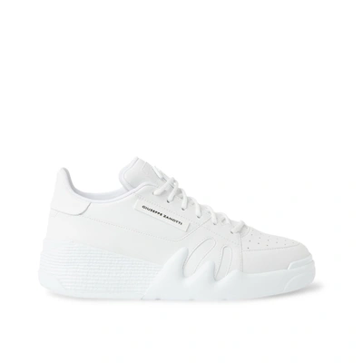 Giuseppe Zanotti Talon Frayed-trim Sneakers In White