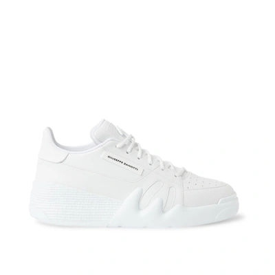 Giuseppe Zanotti Talon Frayed-trim Trainers In White