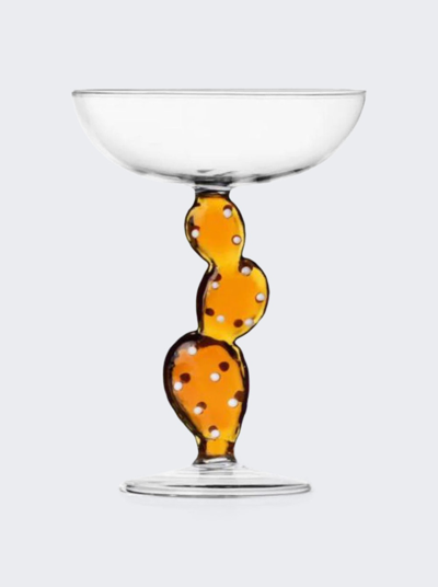 Ichendorf Milano Desert Plants Champagne Bowl In Clear And Amber