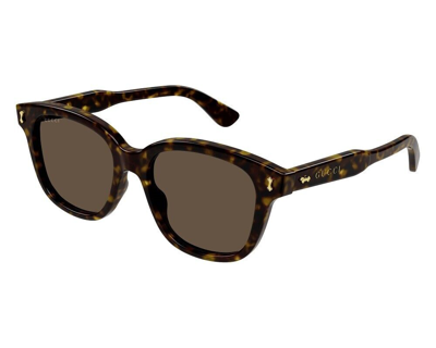 Pre-owned Gucci Rectangular Sunglasses Gg1264s-005-52 Havana Frame Brown Lenses Polarized