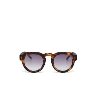 Okkia Zeno Classic Havana Sunglasses In Brown
