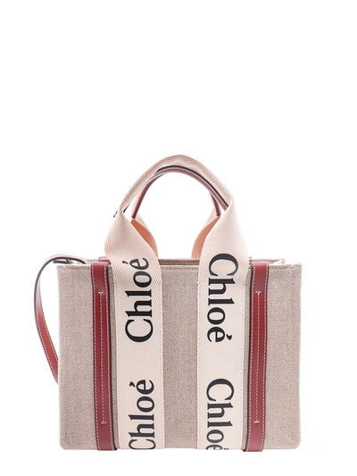Chloé Handbag In Beige
