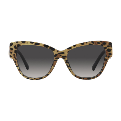 Dolce &amp; Gabbana Eyewear Sunglasses In 31638g Leo Brown On Black