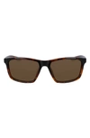 Nike Valient 60mm Square Sunglasses In Tortoise/ Dark Brown