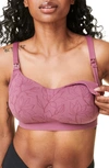 BRAVADO DESIGNS INTRIGUE NURSING BRA