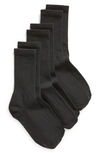 NORDSTROM 3-PACK EVERYDAY CREW SOCKS