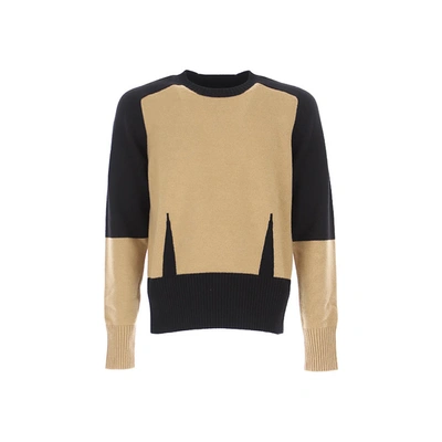 Alexander Mcqueen Wool And Cashmere Sweater In Brown