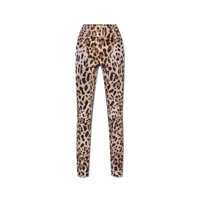 Dolce & Gabbana X Kim Leopard Trousers In Brown