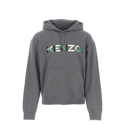 Kenzo Logo Hooded Sweatshirt In Gray