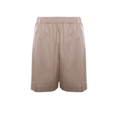 Laneus Cotton Shorts In Beige
