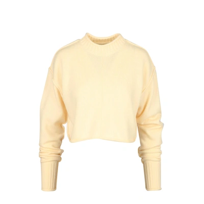 Sportmax Wool And Cashmere Sweater In Beige