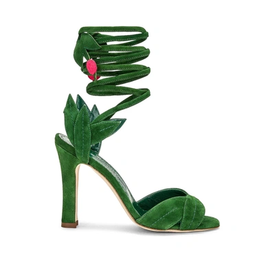 Manolo Blahnik Ossie 105mm Suede Lace-up Sandals In Green