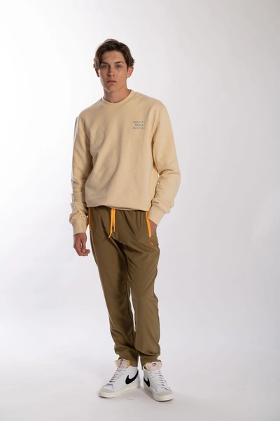 D.rt Sylk Jogger In Brown